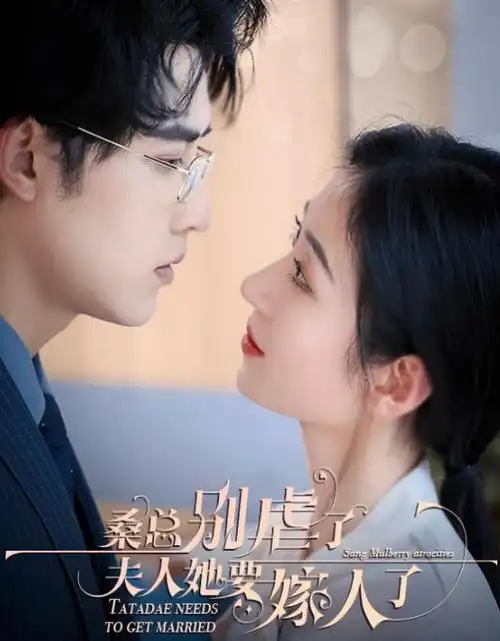 长夜灯火第二季热播电视剧全集手机免费在线观看